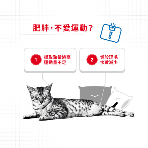 Royal Canin CAT (FCN) Light Weight Care Adult (Gravy) 加護系列 成貓體重控制加護主食濕糧(肉汁) (3105800) 85g X 12 原盒 (原裝行貨)